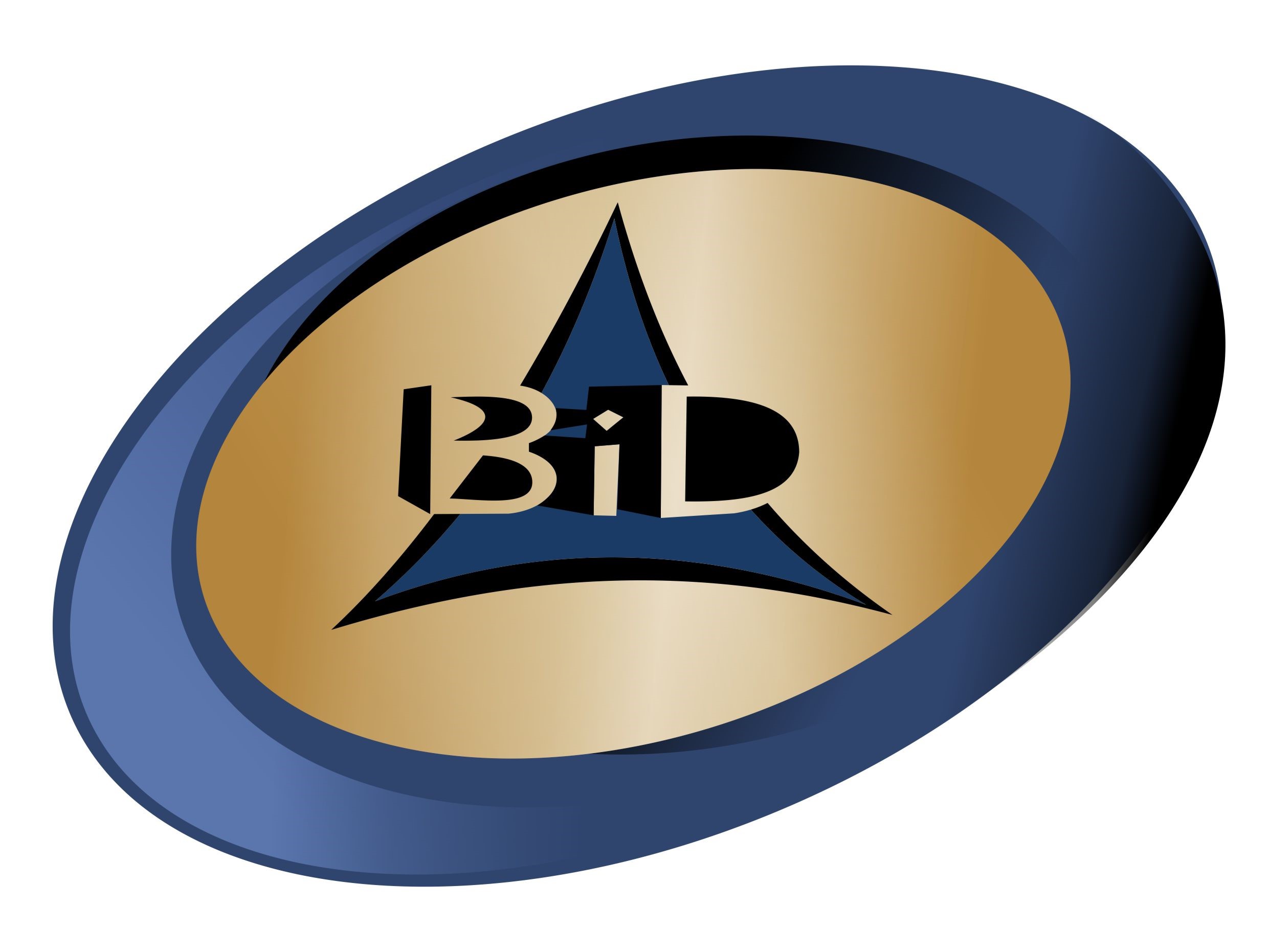 BidWeb Hosting The Future BidWeb Hosting The Future